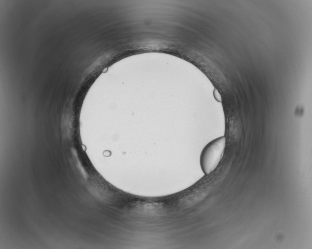 X0000116330304201001131030