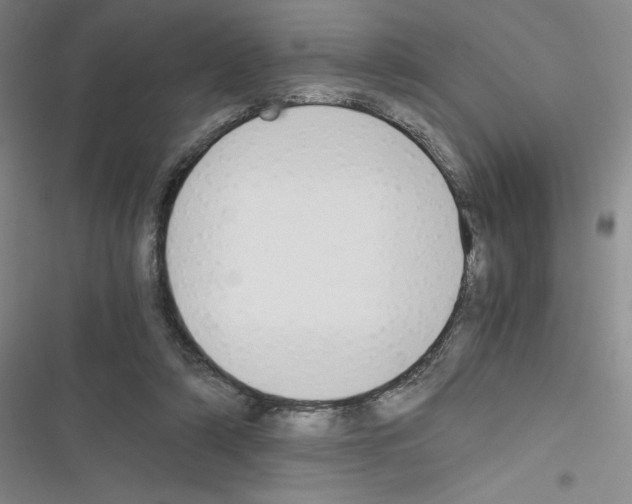 X0000116330306201001131030