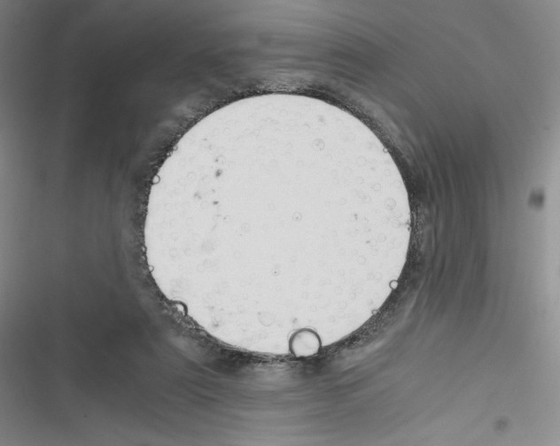 X0000116330307201001131030