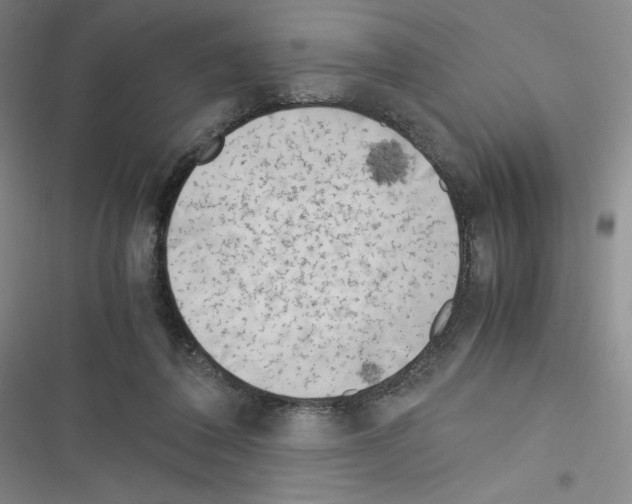 X0000116330308201001131030