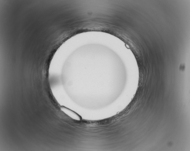 X0000116330309201001131030
