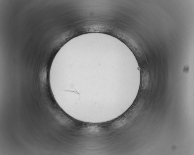 X0000116330310201001131030
