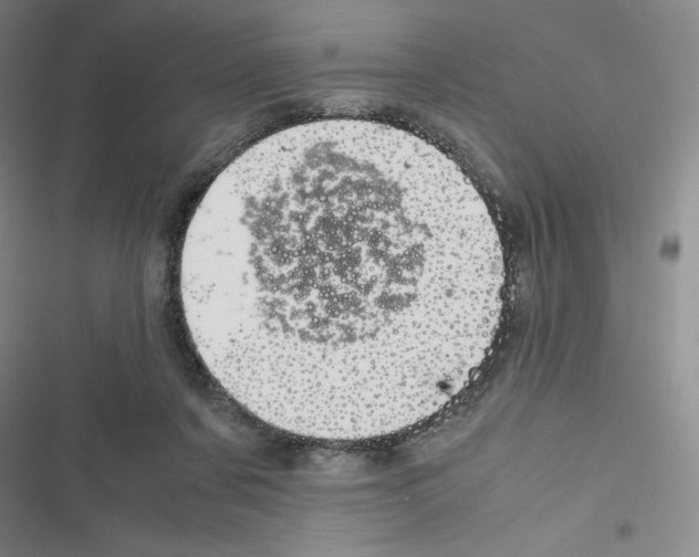X0000116330311201001131030