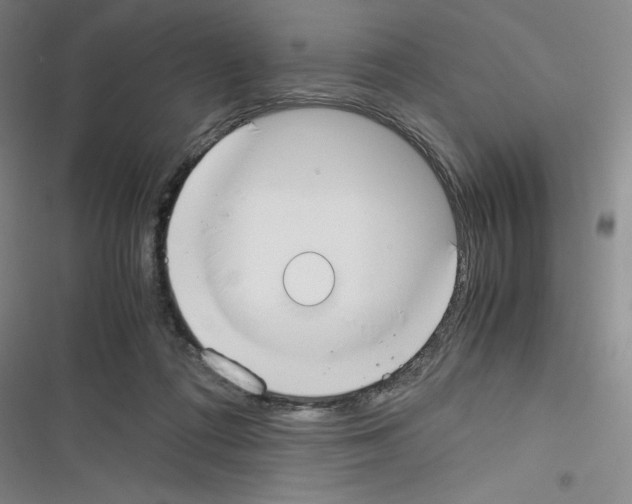 X0000116330312201001131030