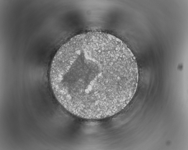 X0000116330313201001131030