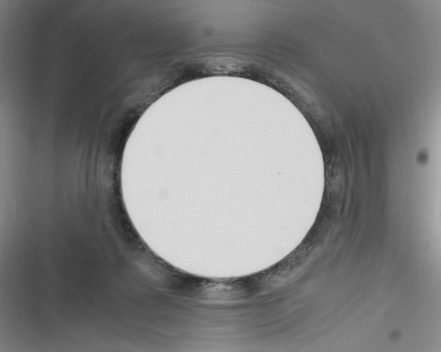 X0000116330315201001131030