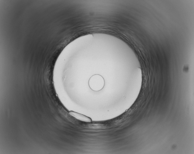 X0000116330316201001131030
