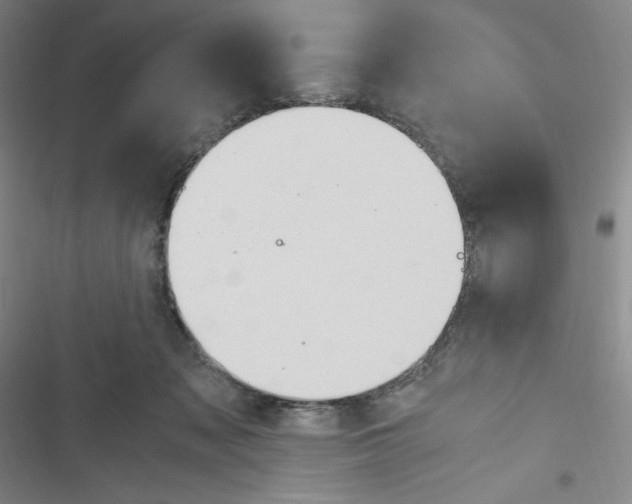 X0000116330317201001131030