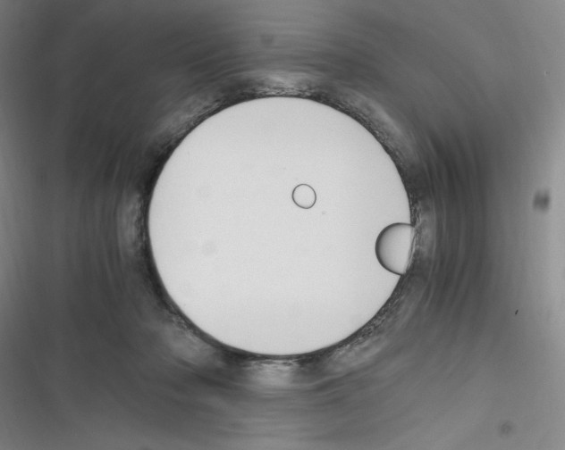 X0000116330318201001131030
