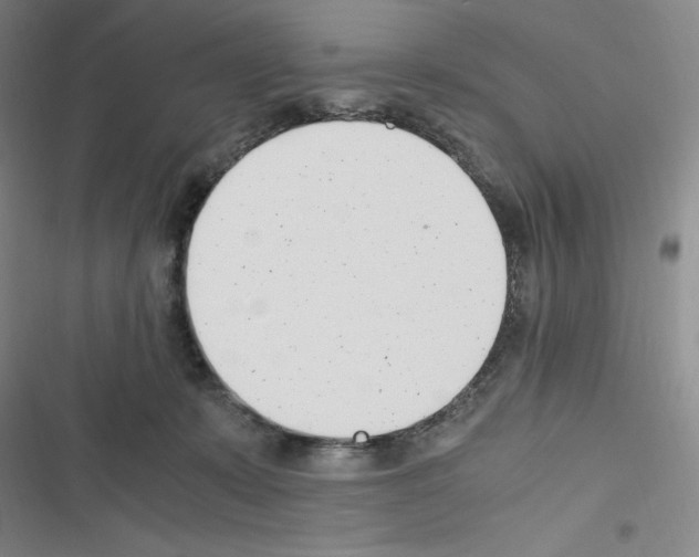 X0000116330319201001131030