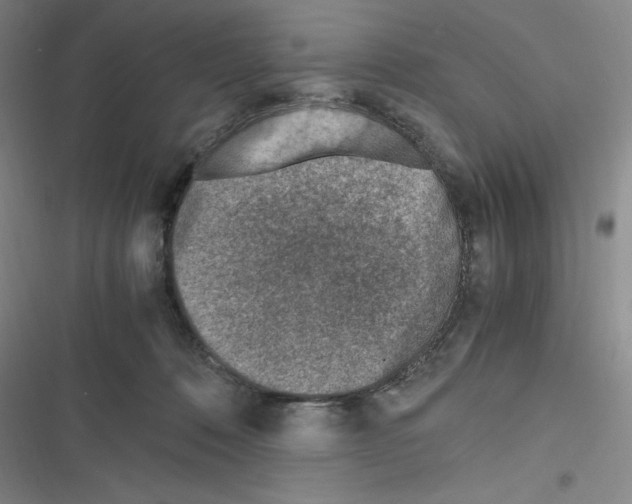 X0000116330320201001131030