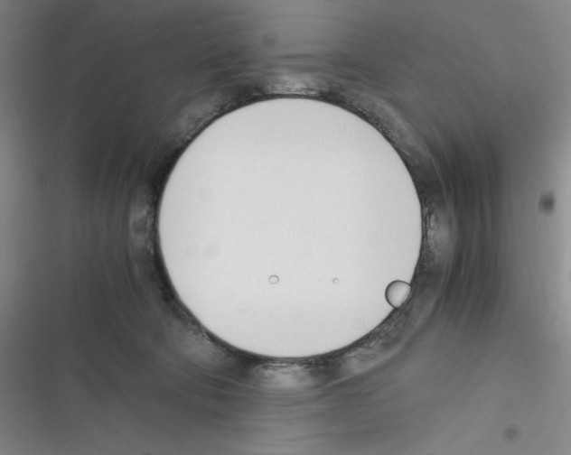 X0000116330322201001131030