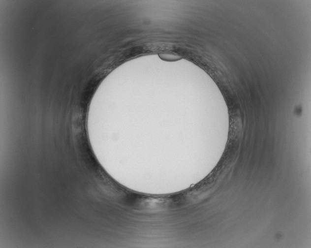 X0000116330323201001131030
