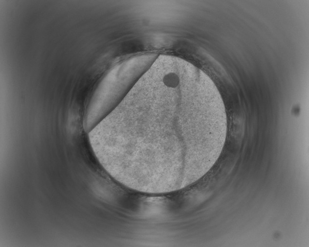 X0000116330324201001131030