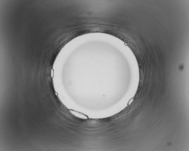 X0000116330325201001131030