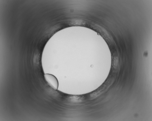 X0000116330326201001131030