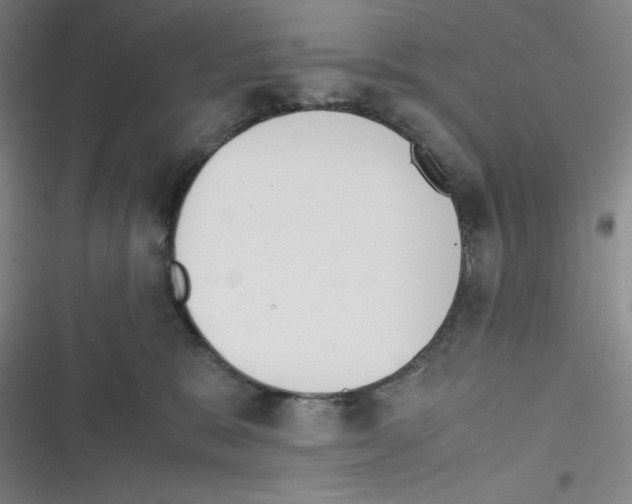 X0000116330327201001131029