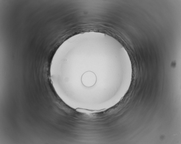 X0000116330328201001131029