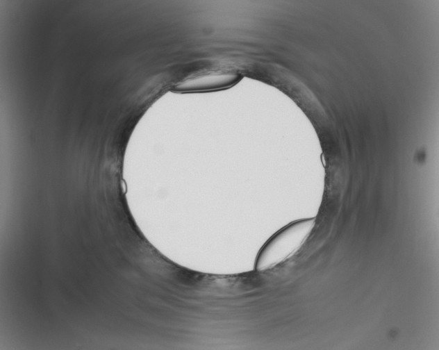 X0000116330329201001131029