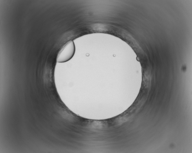 X0000116330330201001131029