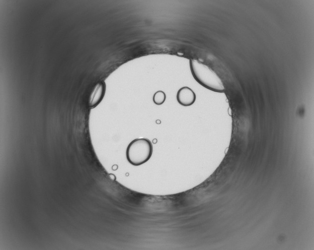 X0000116330331201001131029