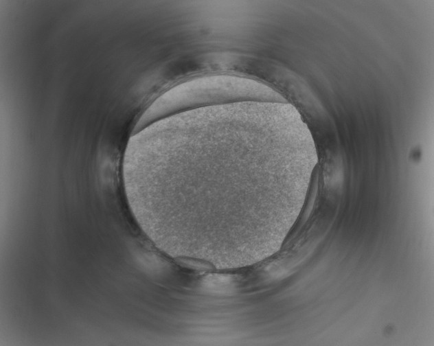 X0000116330332201001131029