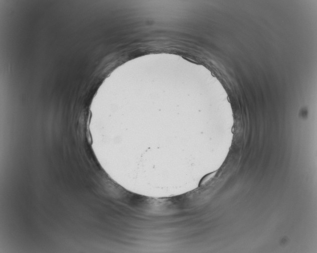 X0000116330333201001131029