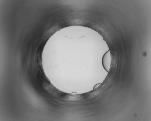X0000116330334201001131029