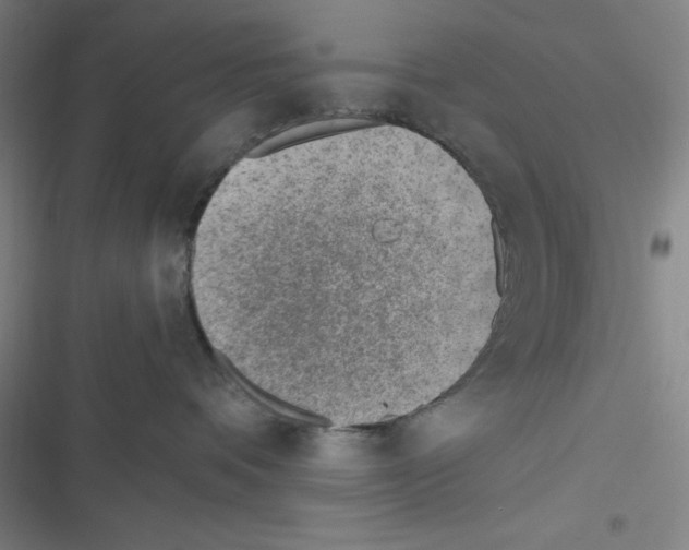 X0000116330336201001131029
