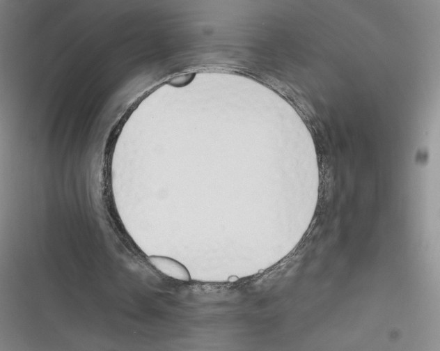 X0000116330338201001131029