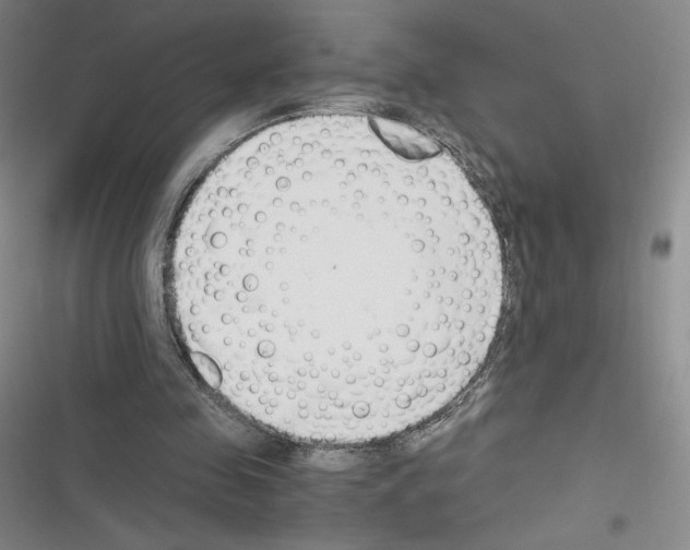 X0000116330341201001131029