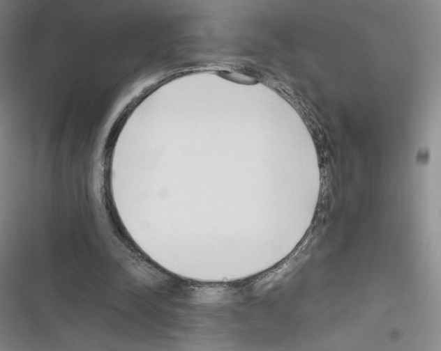 X0000116330342201001131029