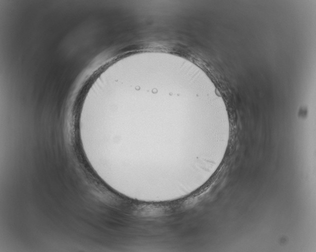 X0000116330343201001131029