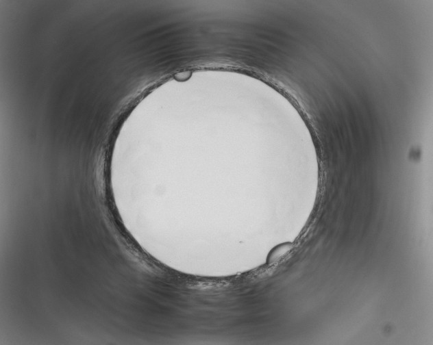 X0000116330345201001131029