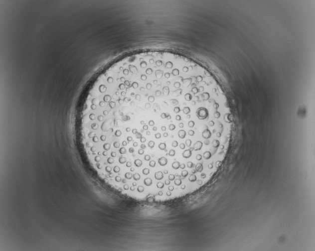 X0000116330346201001131029