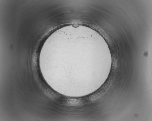 X0000116330347201001131029