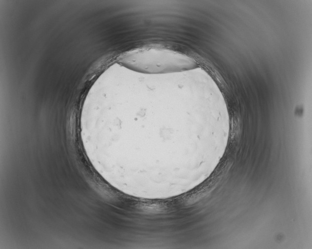 X0000116330349201001131029