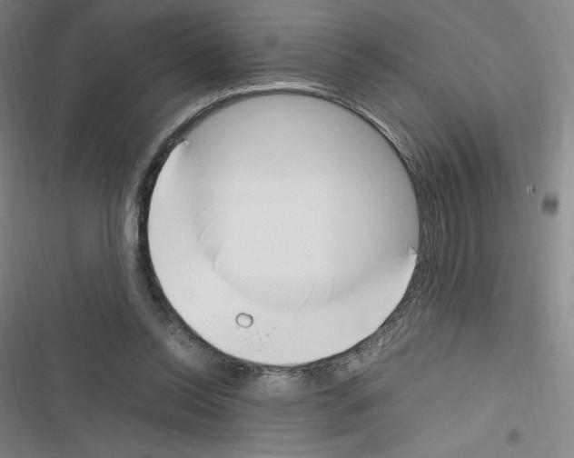 X0000116330350201001131029