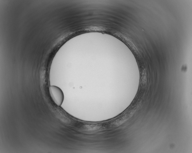 X0000116330351201001131029