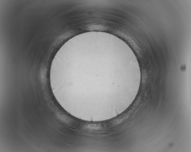 X0000116330353201001131029