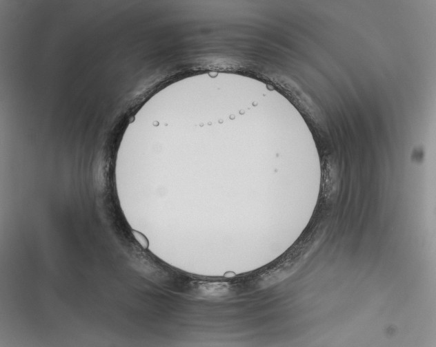 X0000116330355201001131029