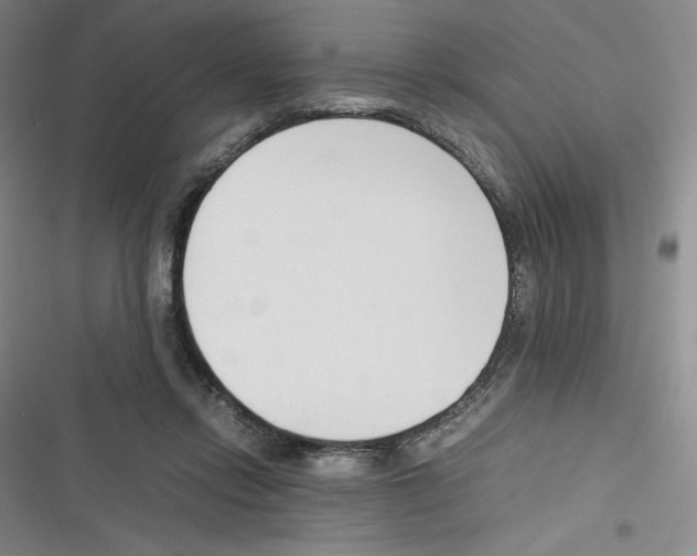 X0000116330358201001131029