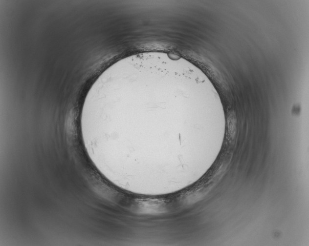 X0000116330359201001131029