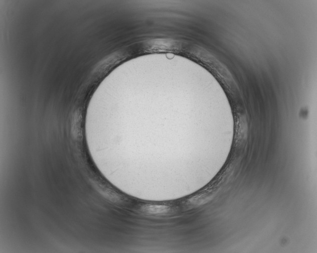X0000116330361201001131029