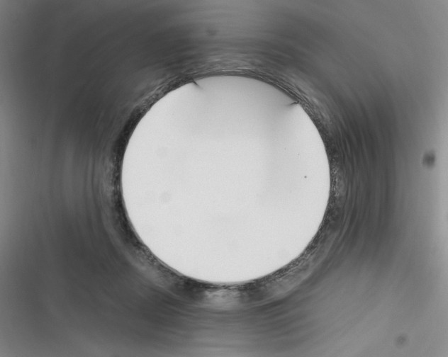 X0000116330362201001131029