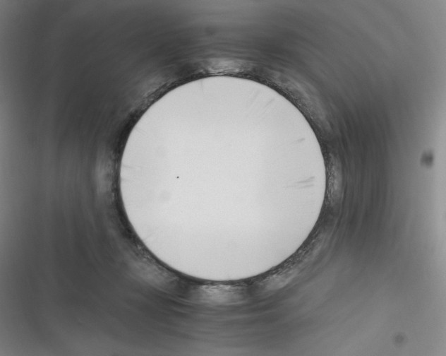 X0000116330367201001131029