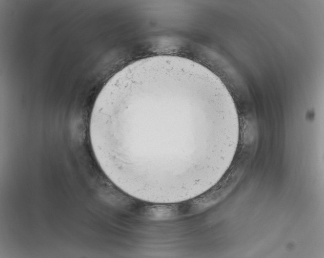 X0000116330370201001131029