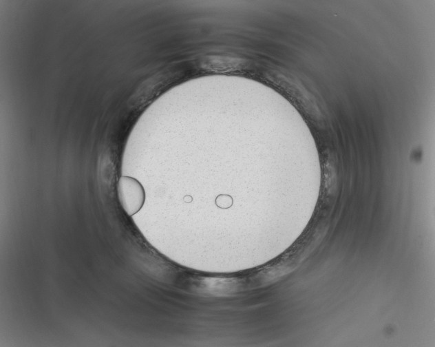 X0000116330371201001131029