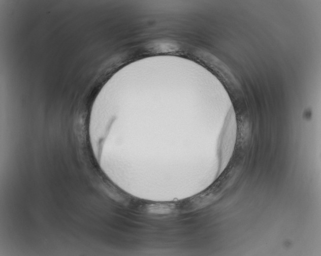 X0000116330373201001131029