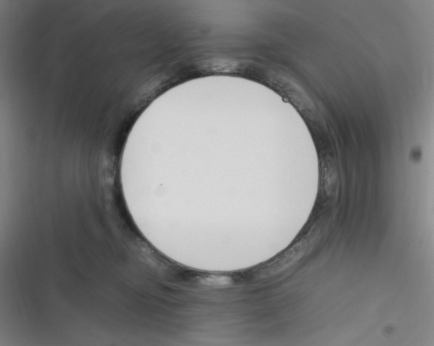 X0000116330374201001131029